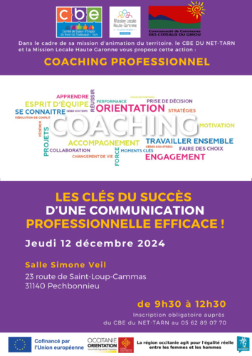 Coaching Professionnel Image 1