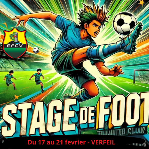 Stage de foot Image 1